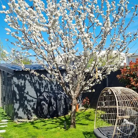 بيت للعطل Maison Flora *