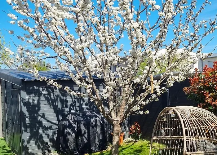 Дом отдыха Maison Flora *